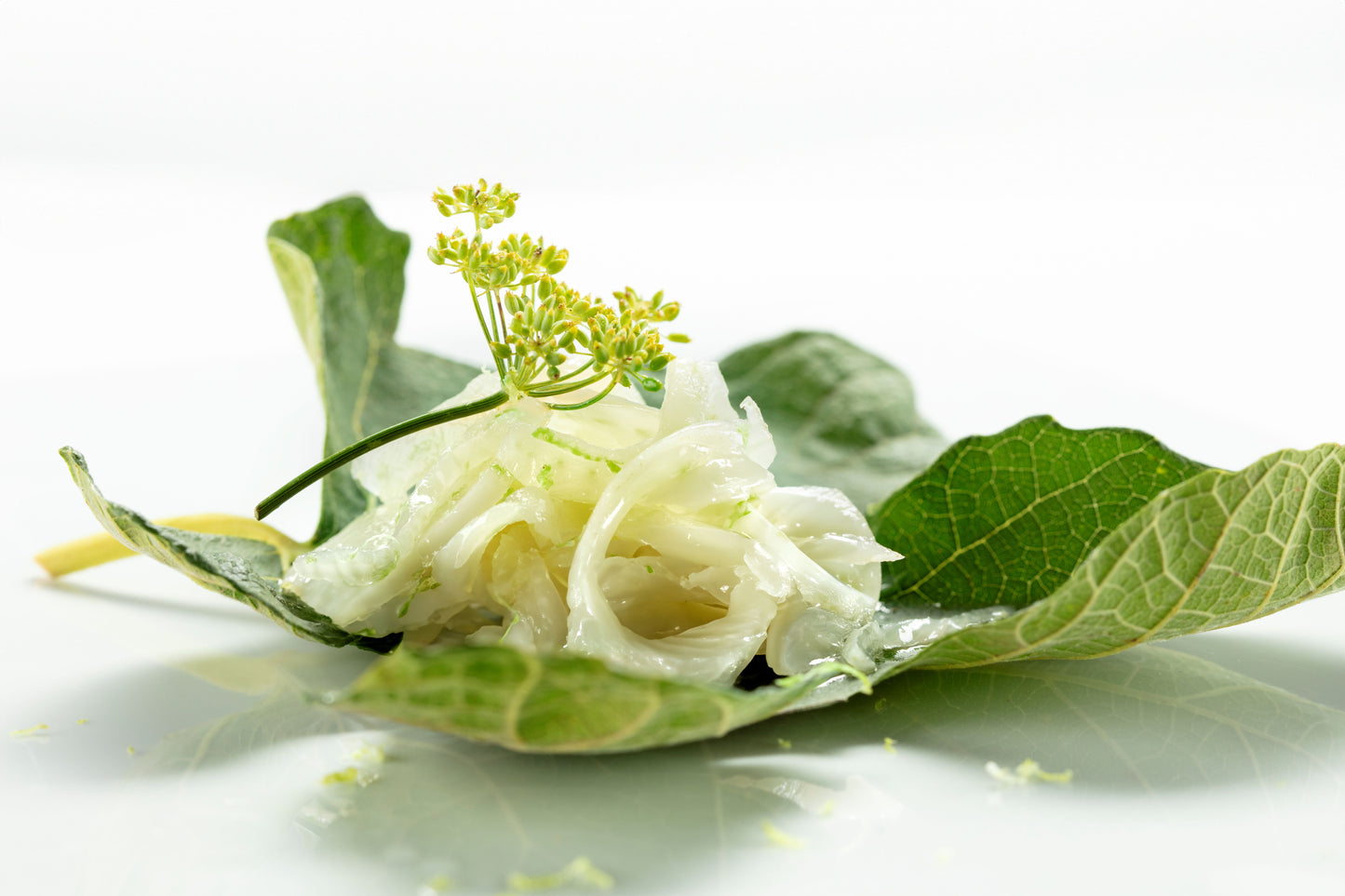 I Contadini Fennel Carpaccio – Hand-Sliced Apulian Antipasto, 230g