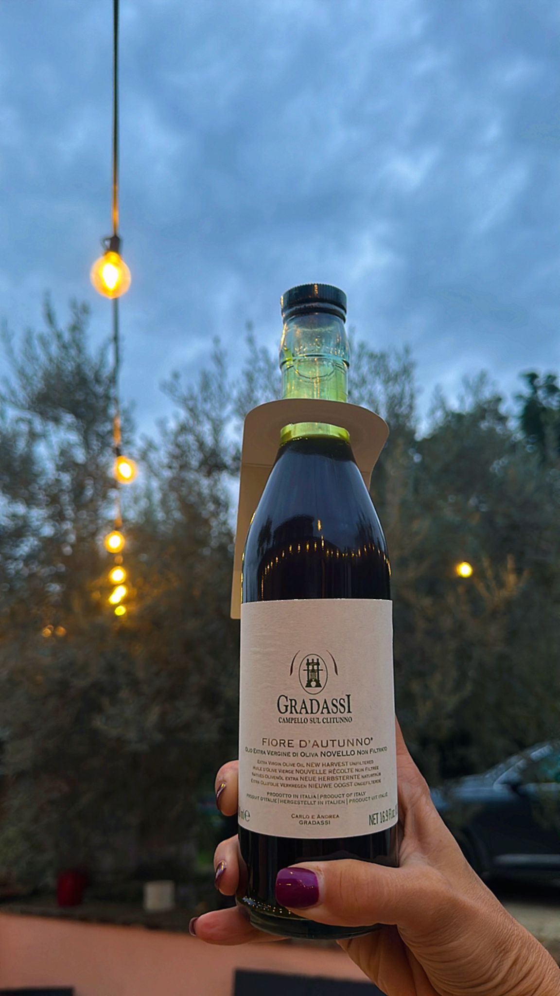 Gradassi Novello olive oil bottle held at dusk